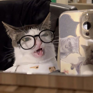 Meet your Posher, Min jung